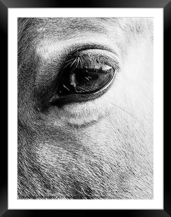 Look into my eye... Framed Mounted Print by Mark Woodall