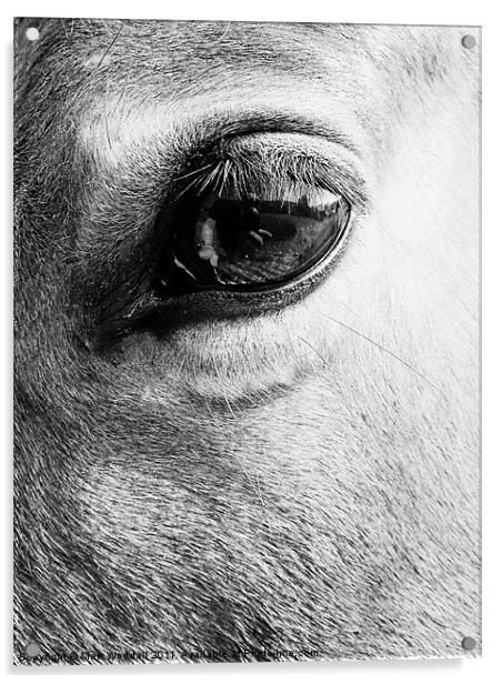 Look into my eye... Acrylic by Mark Woodall