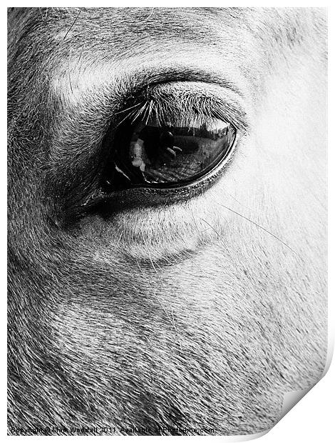 Look into my eye... Print by Mark Woodall