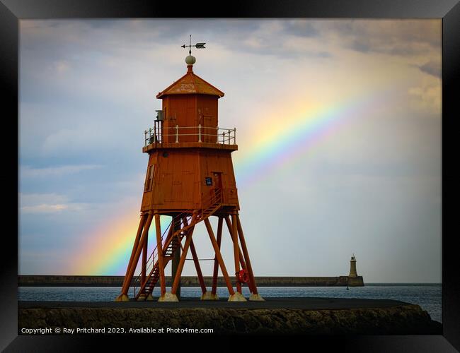 Herd Lighthouse and the Rainbow Framed Print by Ray Pritchard