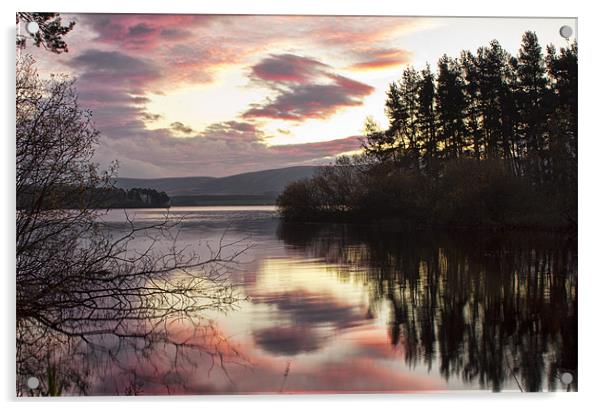 A Calm Morning Acrylic by Lynne Morris (Lswpp)