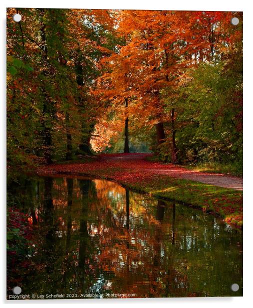 Autumn Reflection Acrylic by Les Schofield