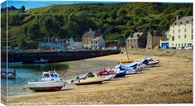Stonehaven Harbour Canvas Print by Rodney Hutchinson