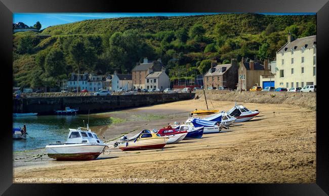 Stonehaven Harbour Framed Print by Rodney Hutchinson