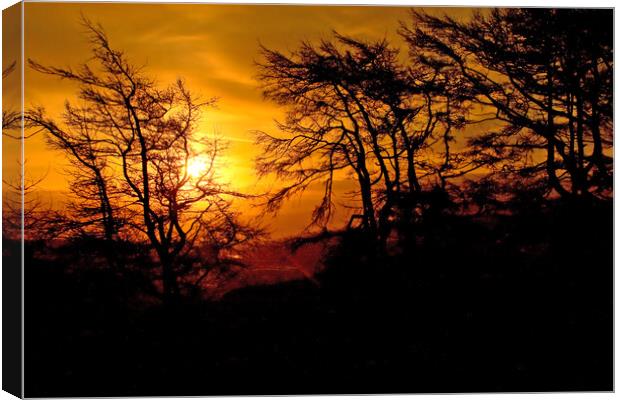 Sunrise at Gummers How Canvas Print by Gary Kenyon