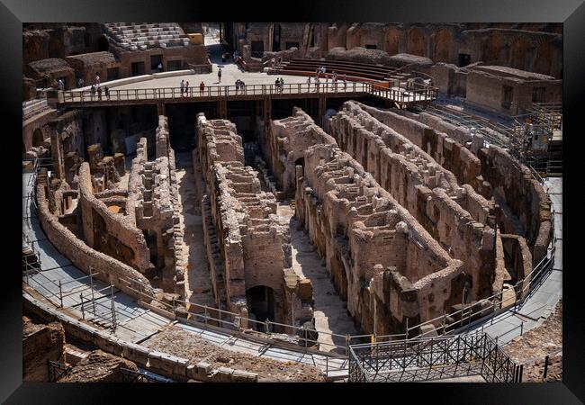 Colosseum Hypogeum Ruins Under Arena Framed Print by Artur Bogacki