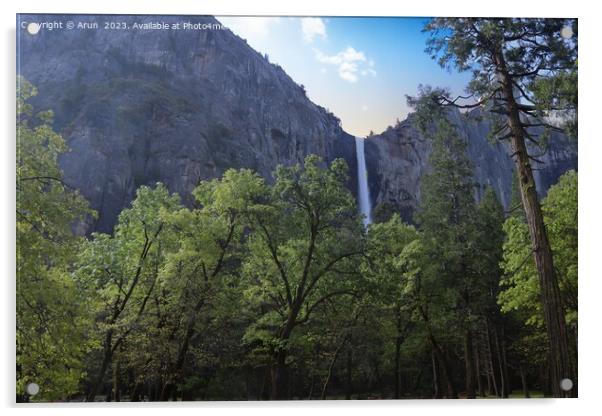 Yosemite in Spring Acrylic by Arun 