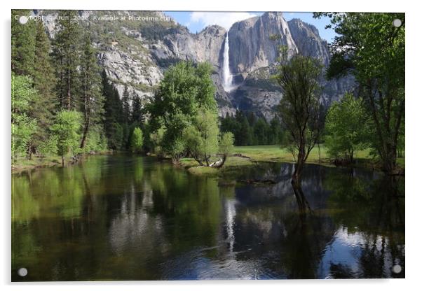 Yosemite in Spring Acrylic by Arun 