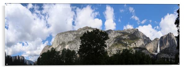 Yosemite in Spring Acrylic by Arun 