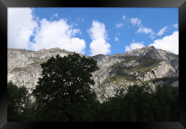 Yosemite in Spring Framed Print by Arun 