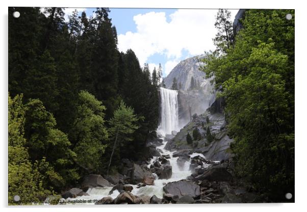 Yosemite in Spring Acrylic by Arun 