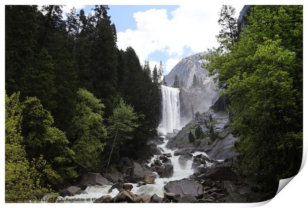 Yosemite in Spring Print by Arun 