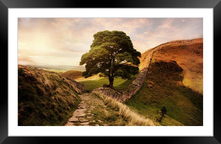 The famous sycamore gap at Hadrians wall at sunset Framed Mounted Print by Guido Parmiggiani