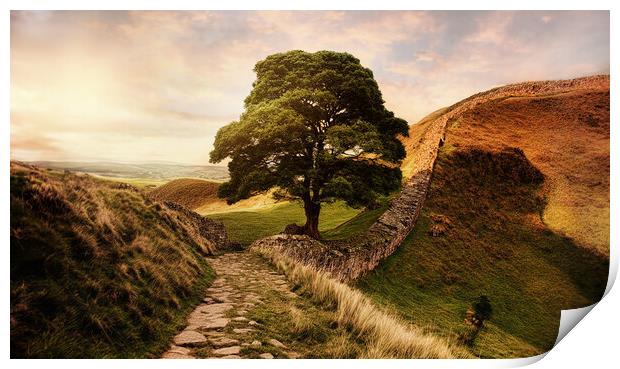 The famous sycamore gap at Hadrians wall at sunset Print by Guido Parmiggiani