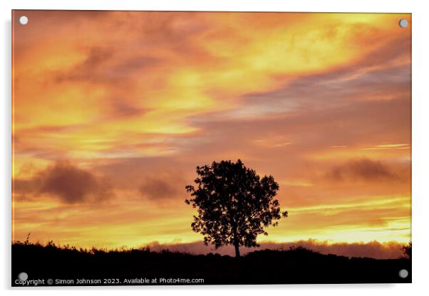Tree Silhouette at sunrise Acrylic by Simon Johnson