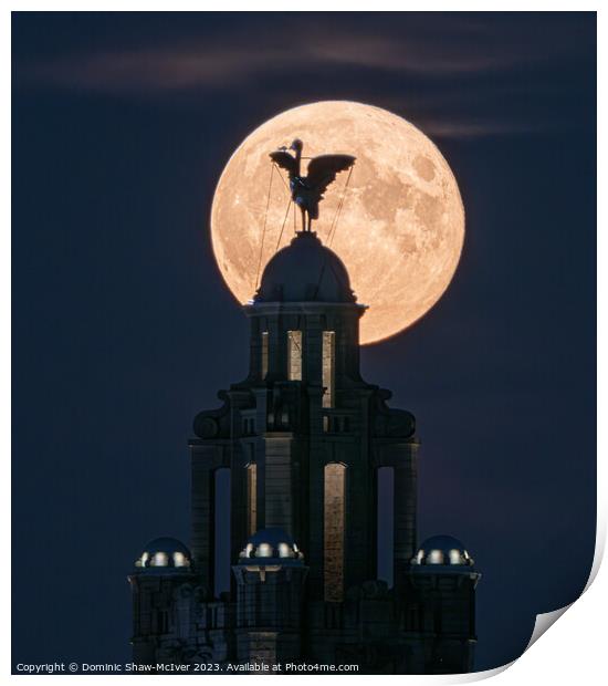 Liverbird Moonrise Print by Dominic Shaw-McIver