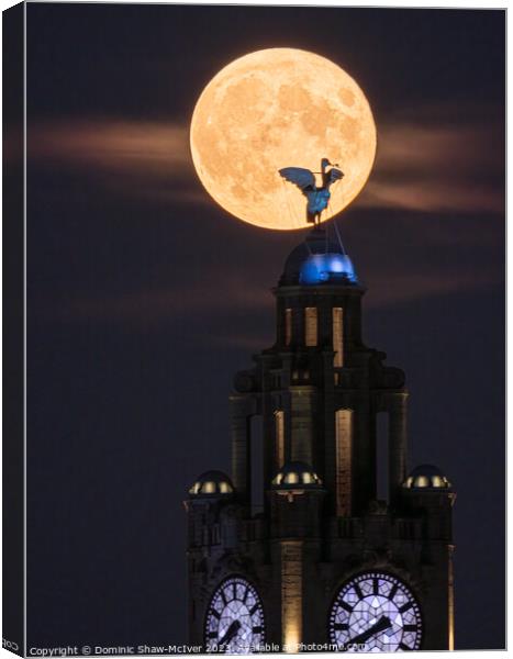 Liverbird Moonrise Canvas Print by Dominic Shaw-McIver