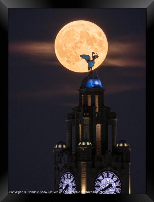 Liverbird Moonrise Framed Print by Dominic Shaw-McIver