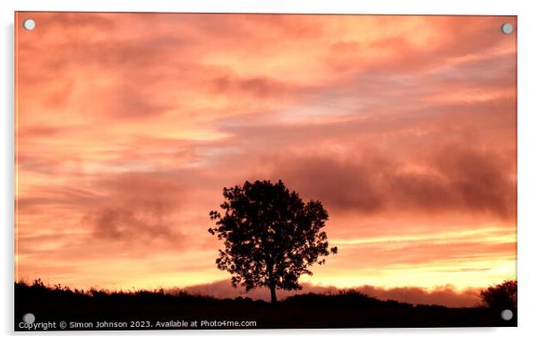 Tree Silhouette at sunrise Acrylic by Simon Johnson