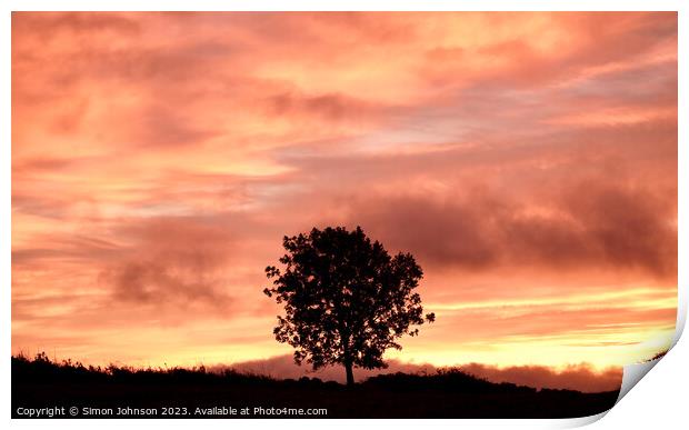 Tree Silhouette at sunrise Print by Simon Johnson