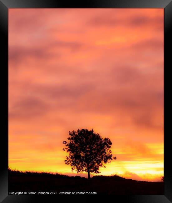 Tree Silhouette at sunrise with soft focus Framed Print by Simon Johnson