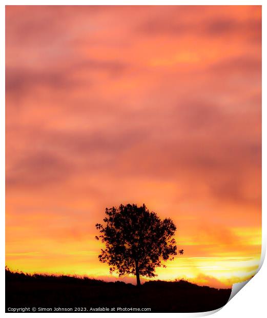 Tree Silhouette at sunrise with soft focus Print by Simon Johnson