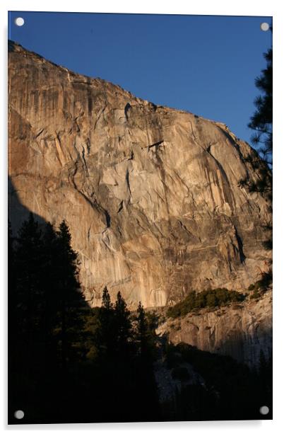 Yosemite national park California Acrylic by Arun 