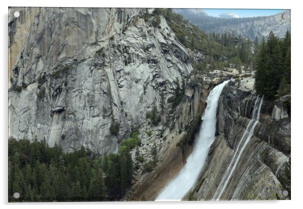 Yosemite in Spring Acrylic by Arun 