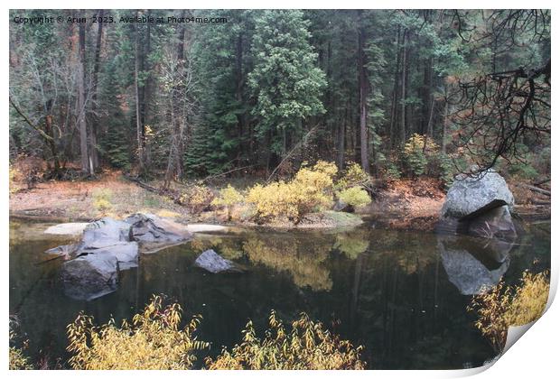 Yosemite national park in the fall Print by Arun 