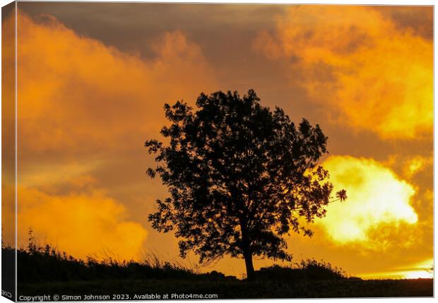 Tree Silhouette at sunrise  Canvas Print by Simon Johnson