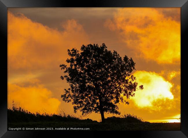 Tree Silhouette at sunrise  Framed Print by Simon Johnson