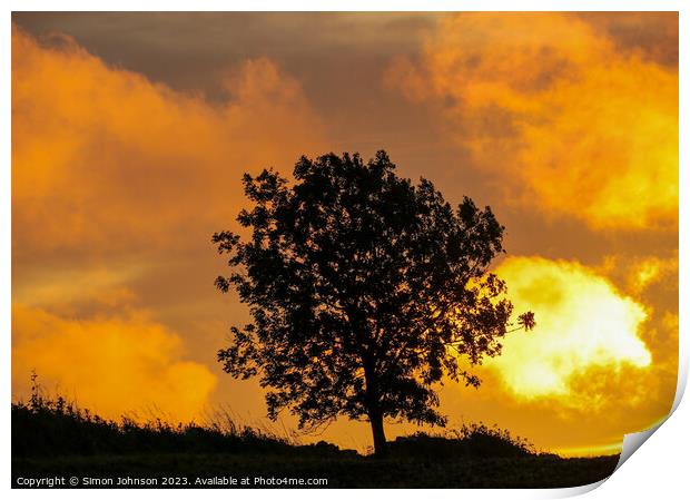 Tree Silhouette at sunrise  Print by Simon Johnson