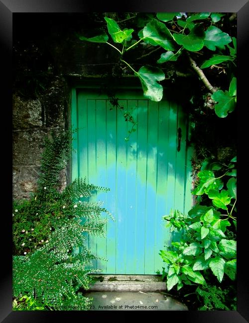 Green Door Framed Print by Stephanie Moore