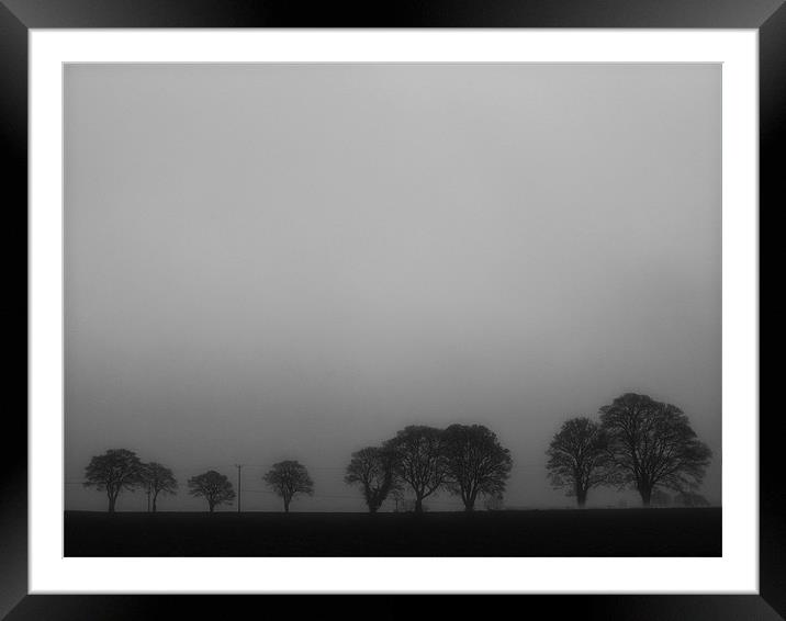 Trees in the mist Framed Mounted Print by Lucy Antony