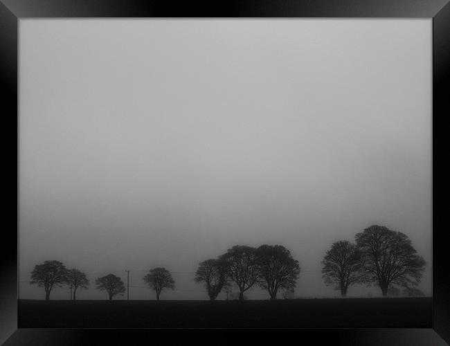 Trees in the mist Framed Print by Lucy Antony