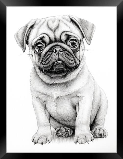 Pencil Drawing Pug Puppy Framed Print by Steve Smith