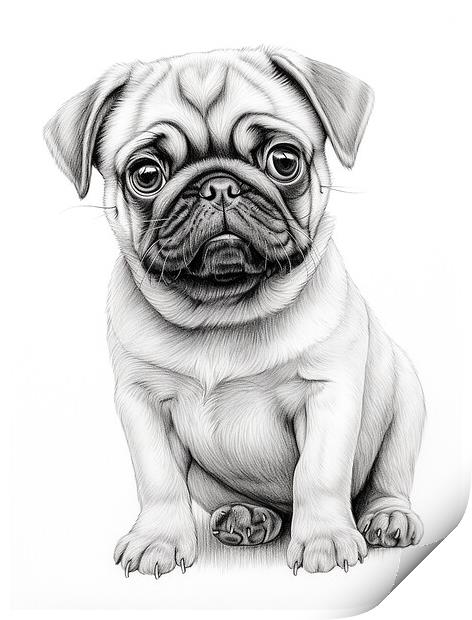 Pencil Drawing Pug Puppy Print by Steve Smith