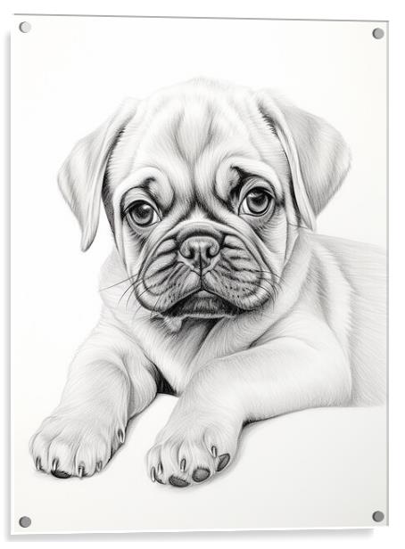 Pencil Drawing Pug Puppy Acrylic by Steve Smith
