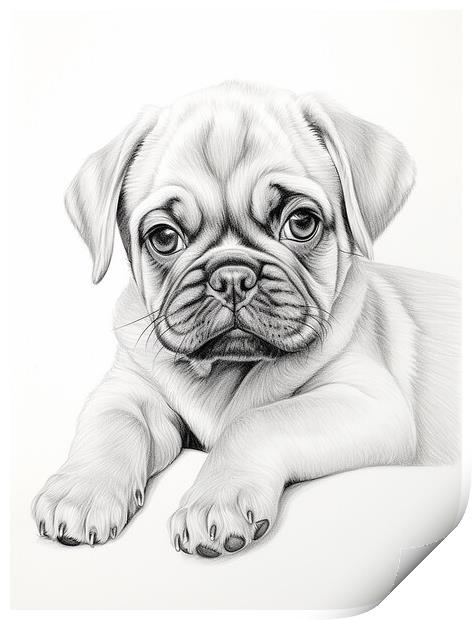 Pencil Drawing Pug Puppy Print by Steve Smith