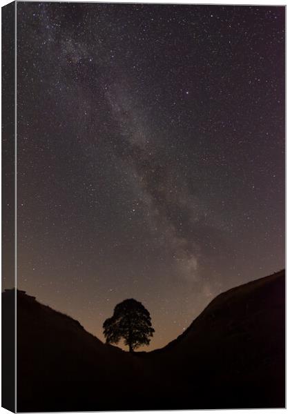 Milkyway over the sycamore Gap Canvas Print by Kevin Winter