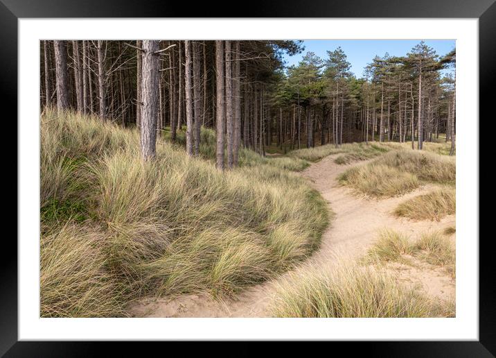 Newborough forest and dunes, Anglesey Framed Mounted Print by Andrew Kearton