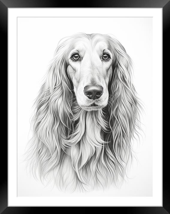 Afghan Hound Pencil Drawing Framed Mounted Print by K9 Art