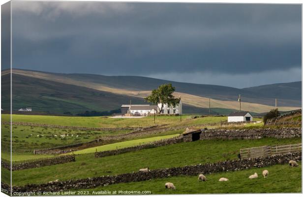 Spotlight on New House, Teesdale Canvas Print by Richard Laidler