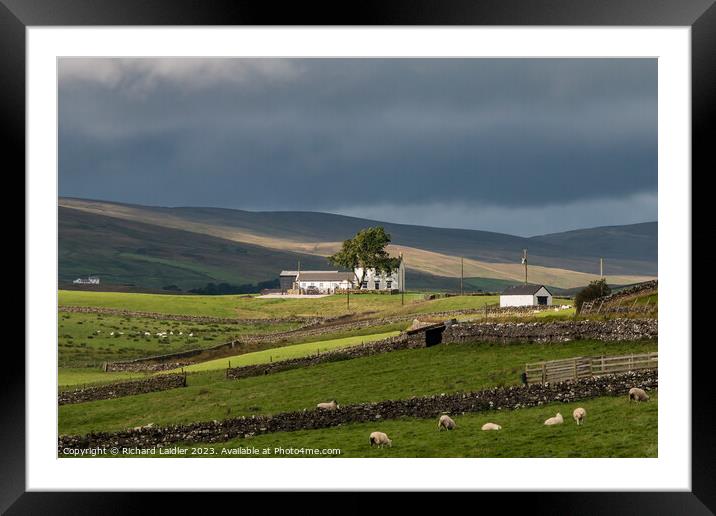 Spotlight on New House, Teesdale Framed Mounted Print by Richard Laidler