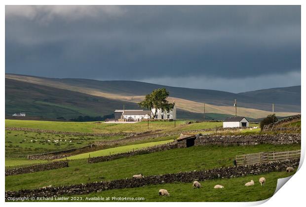 Spotlight on New House, Teesdale Print by Richard Laidler