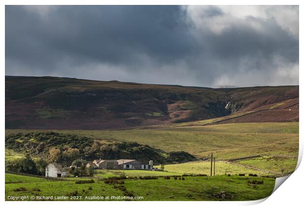 Spotlight on Cronkley and Hill End Farms, Teesdale Print by Richard Laidler