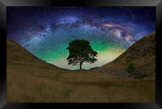 Sycamore gap  on Hadrians Wall Framed Print by Andrew Heaps