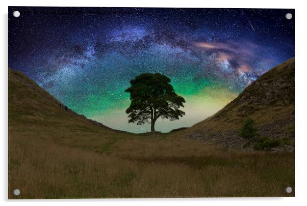  Sycamore gap  on Hadrians Wall Acrylic by Andrew Heaps