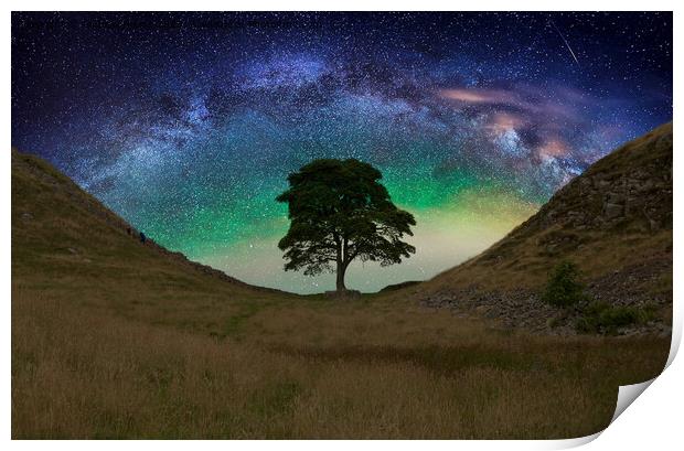  Sycamore gap  on Hadrians Wall Print by Andrew Heaps