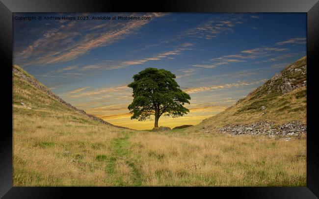  Sycamore gap  on Hadrians Wall and clouds Framed Print by Andrew Heaps